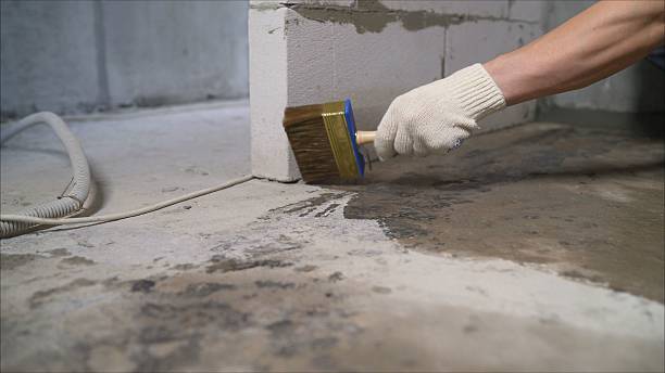 Top rated local Waterproofing specialists in Holly, MI
